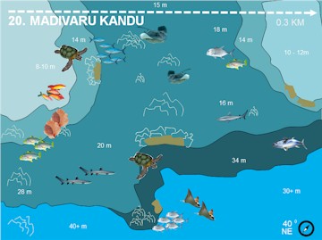 Madivaru Kandu
